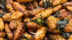 Bamboo Worms (Rot Duan Street Food in Thailand) Bamboo worms are deep-fried and served with spices