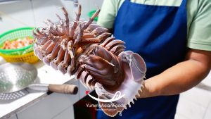 Street Food in Vietnam #10 Deep Fried Giant Isopod (Bọ biển)