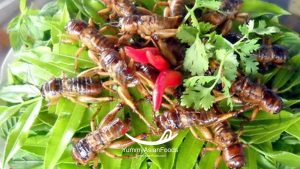 Street Food in Vietnam #2 Fried Crickets (Dế chiên)